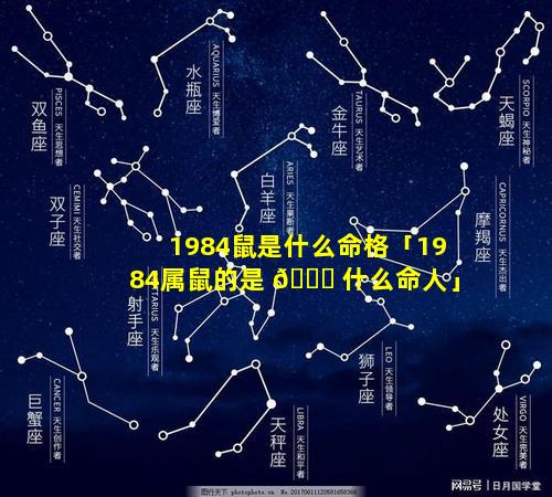 1984鼠是什么命格「1984属鼠的是 🐋 什么命人」